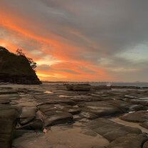 Local shelling spot in the Sunshine Coast, 2 hours north of Gold Coast.